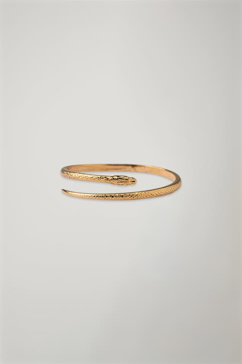 BRACCIALE