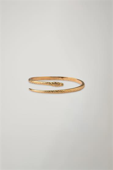 BRACCIALE