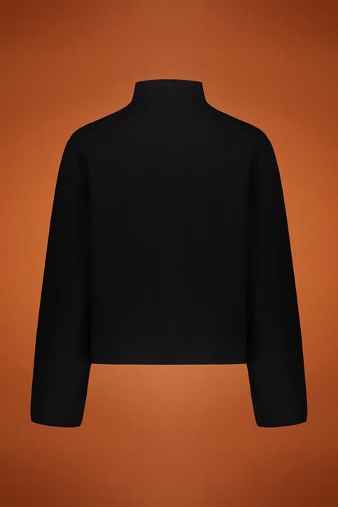 TURTLE NECK