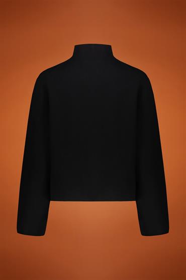 TURTLE NECK