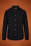 CLASSIC COLLAR REGULAR FIT