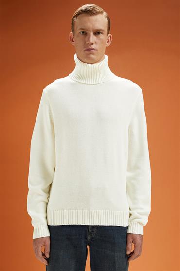 TURTLENECK