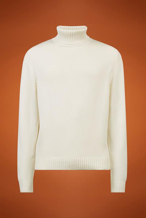 TURTLENECK