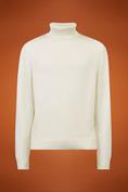 TURTLENECK