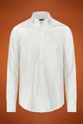 CLASSIC COLLAR REGULAR FIT