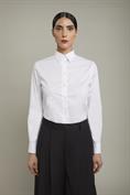 CLASSIC COLLAR REGULAR FIT