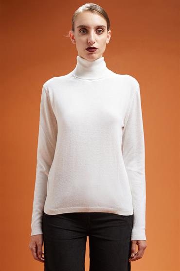 TURTLENECK