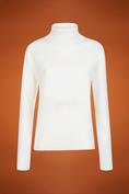 TURTLENECK