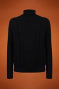TURTLENECK