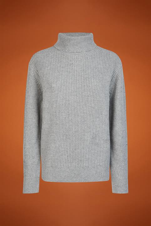 TURTLENECK