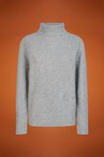 TURTLENECK