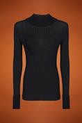 TURTLENECK