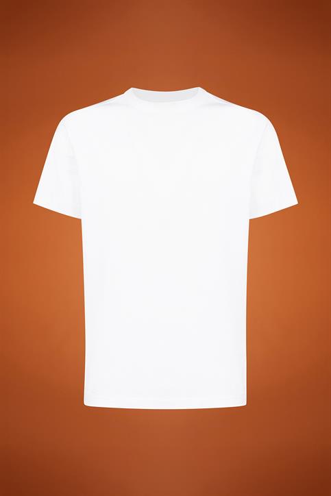 SHORT SLEEVES T-SHIRT - HIGH NECK