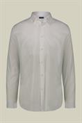 BUTTON DOWN COLLAR