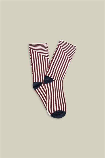 ANKLE SOCKS BLUE/BORDEAUX