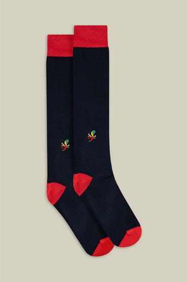 SOCKS