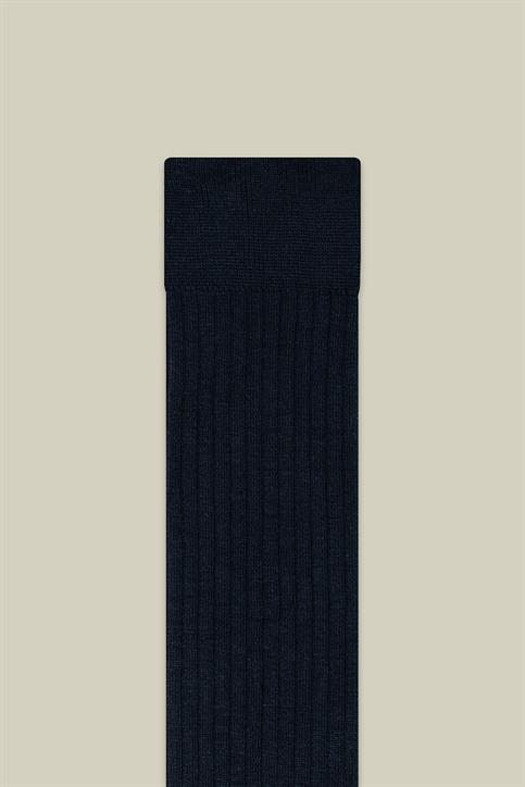 SOCKS-RIB