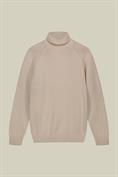 TURTLENECK