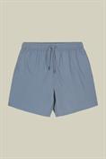 SWIM TRUNK