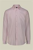 BUTTON DOWN COLLAR